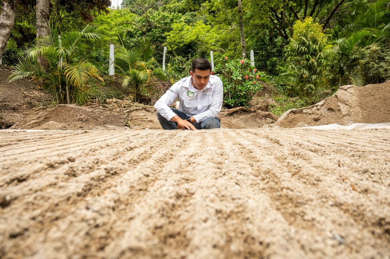 Propagate endemic plants to reverse biodiversity loss