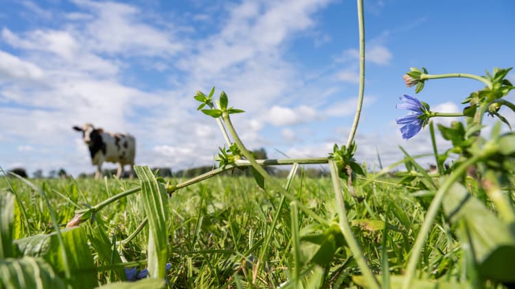 Incentivize sustainable dairy through outcome-based payments
