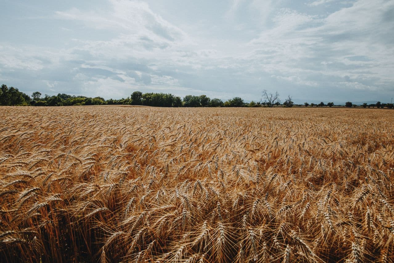 Use nature metrics to inform lending decisions