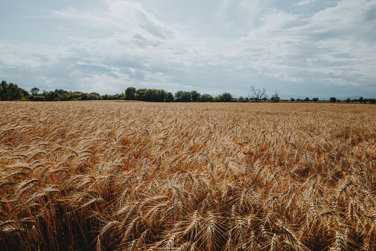 Use nature metrics to inform lending decisions