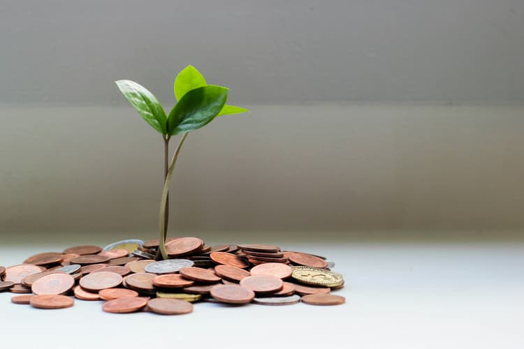 Finance deforestation-free soy production