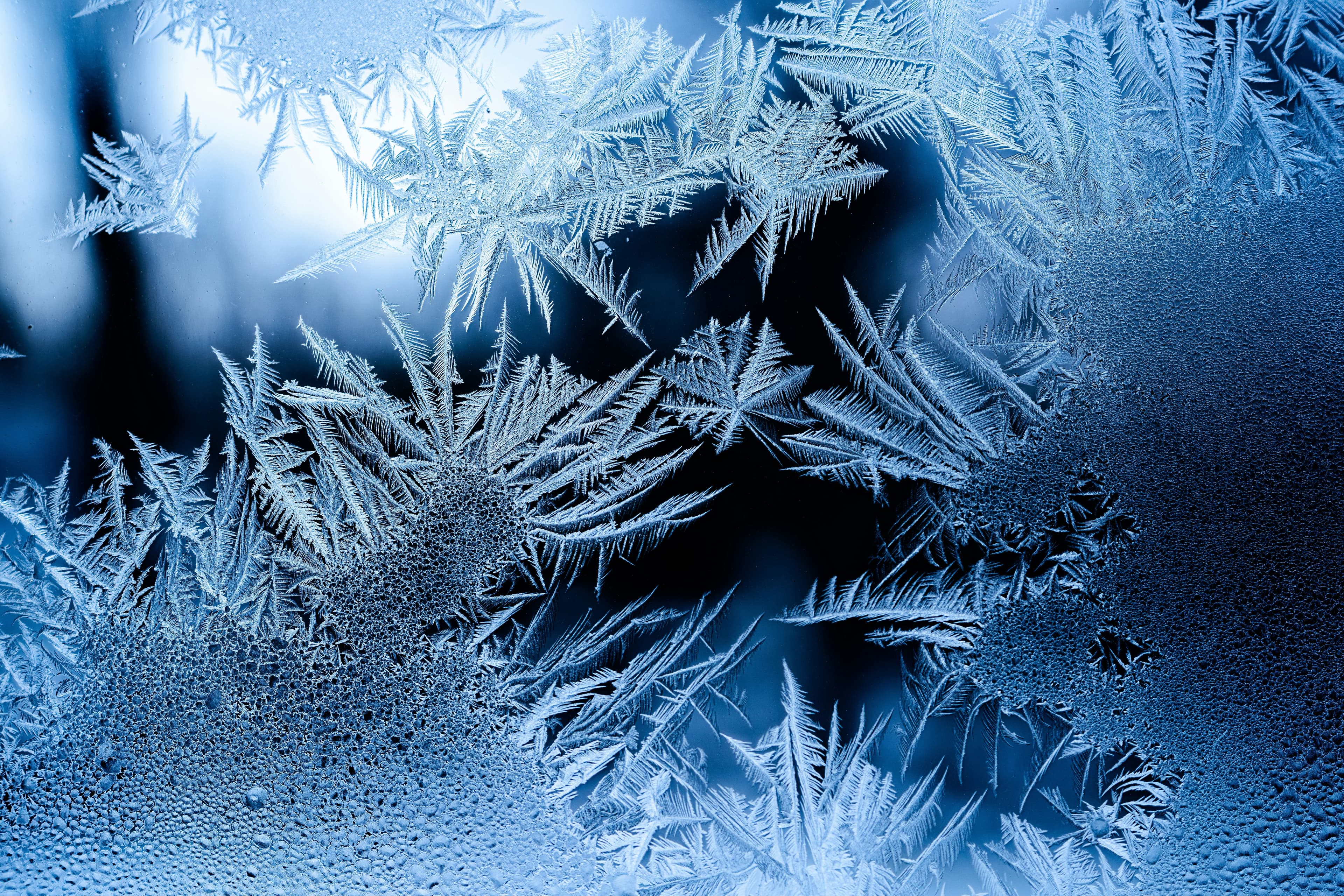 Eliminate 99% Emissions by Switching to Natural Refrigerants