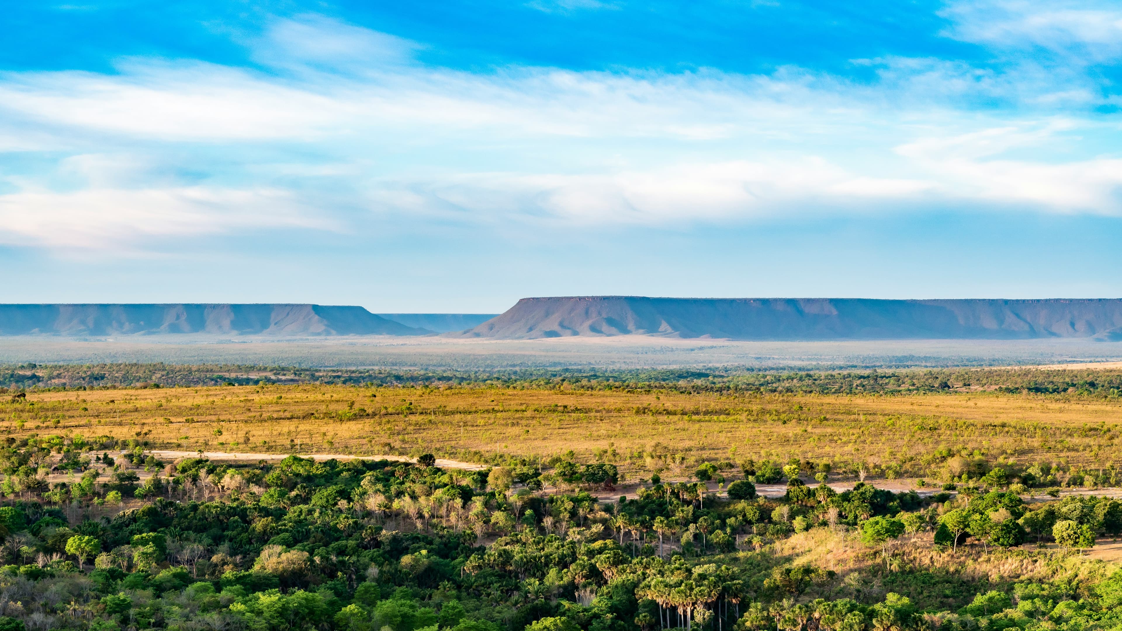Restore degraded pastures in Brazil