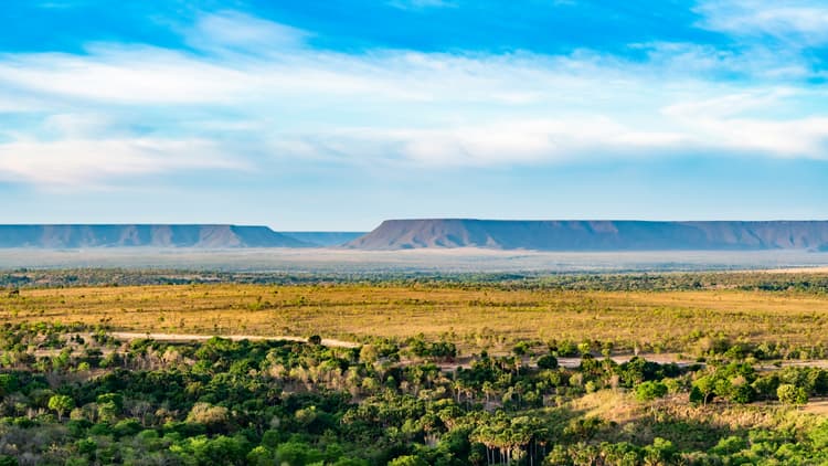 Restore degraded pastures in Brazil