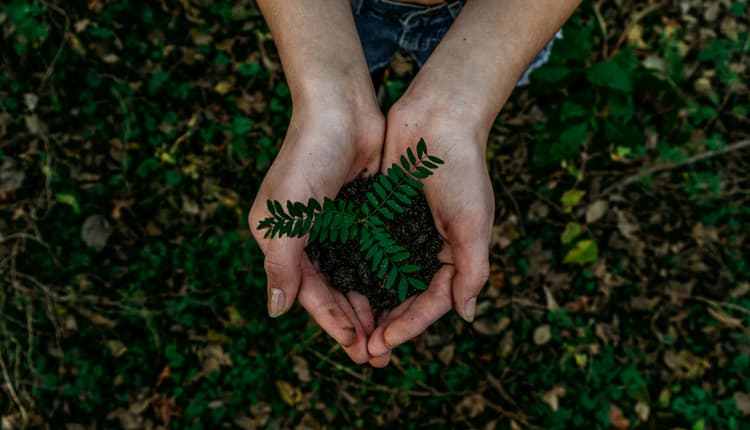 Design a voluntary carbon credit portfolio