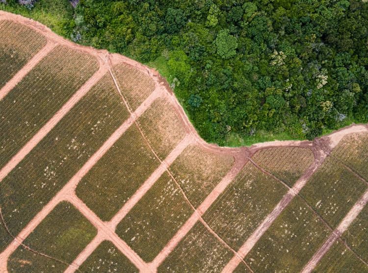 Map and prioritize nature risk in a credit portfolio