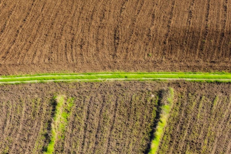 Build climate resilience through regenerative agriculture