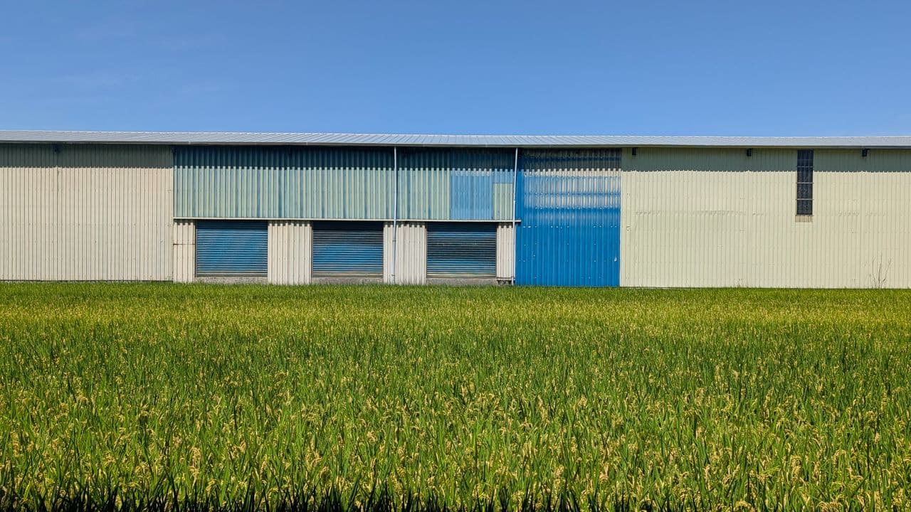 Assess nature risks across agricultural supply chains
