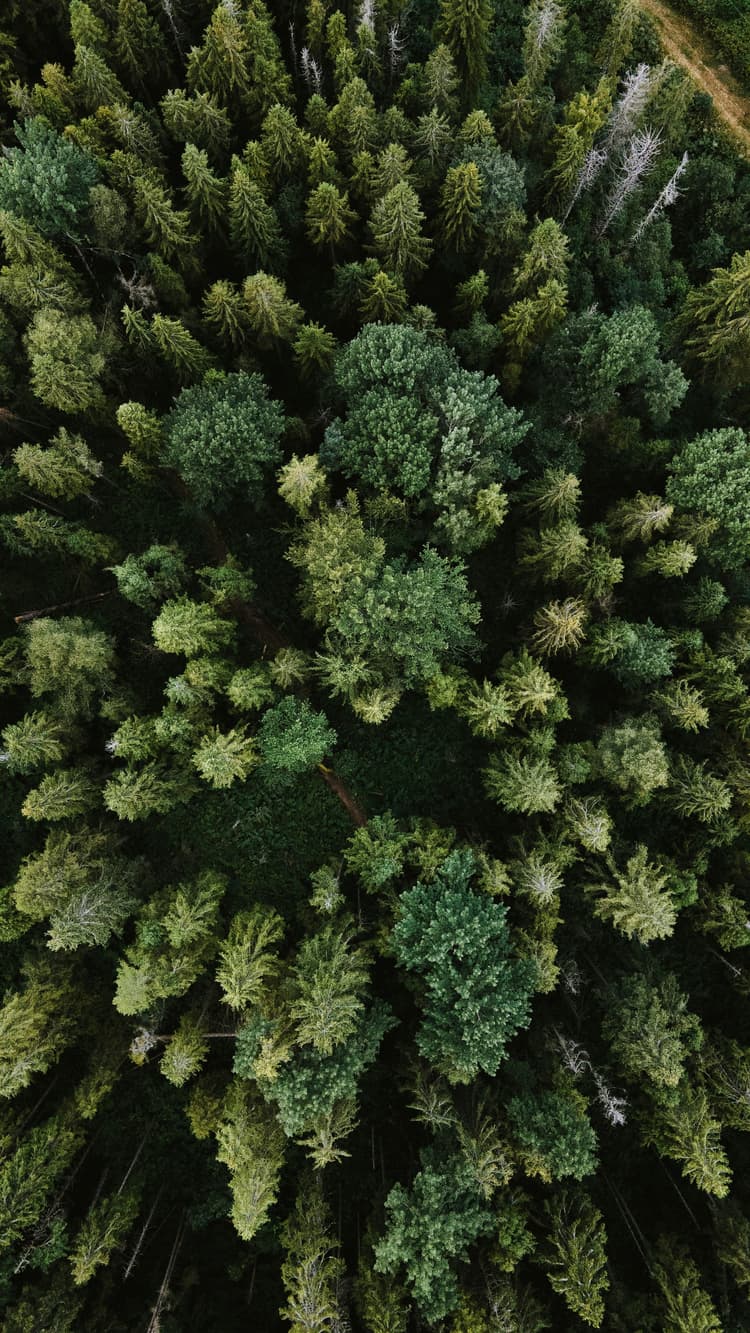 Drive nature conservation, social capital and carbon cuts