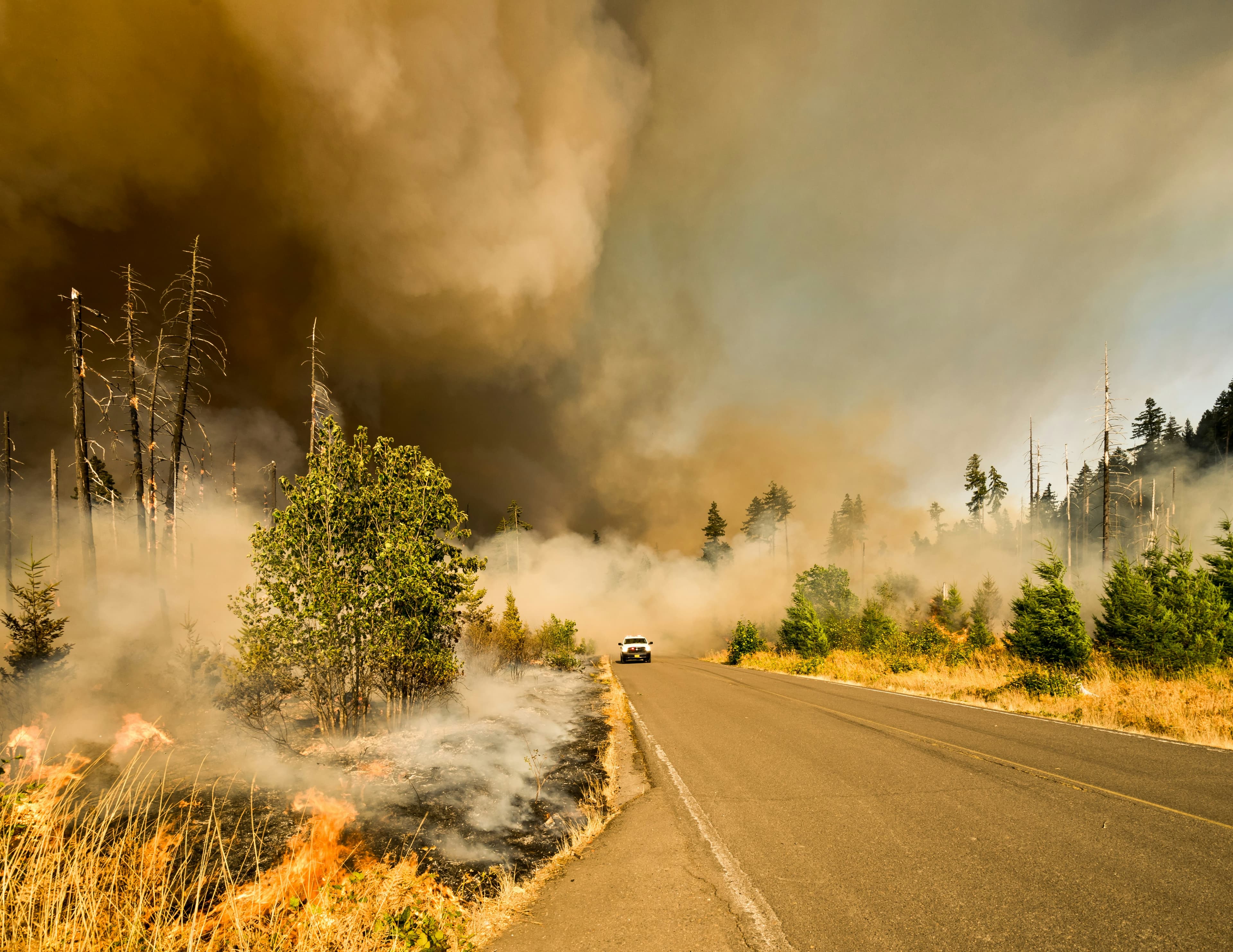 Adapt to wildfire risks with nature-based solutions