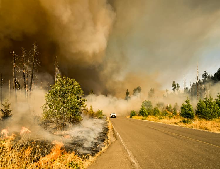 Adapt to wildfire risks with nature-based solutions
