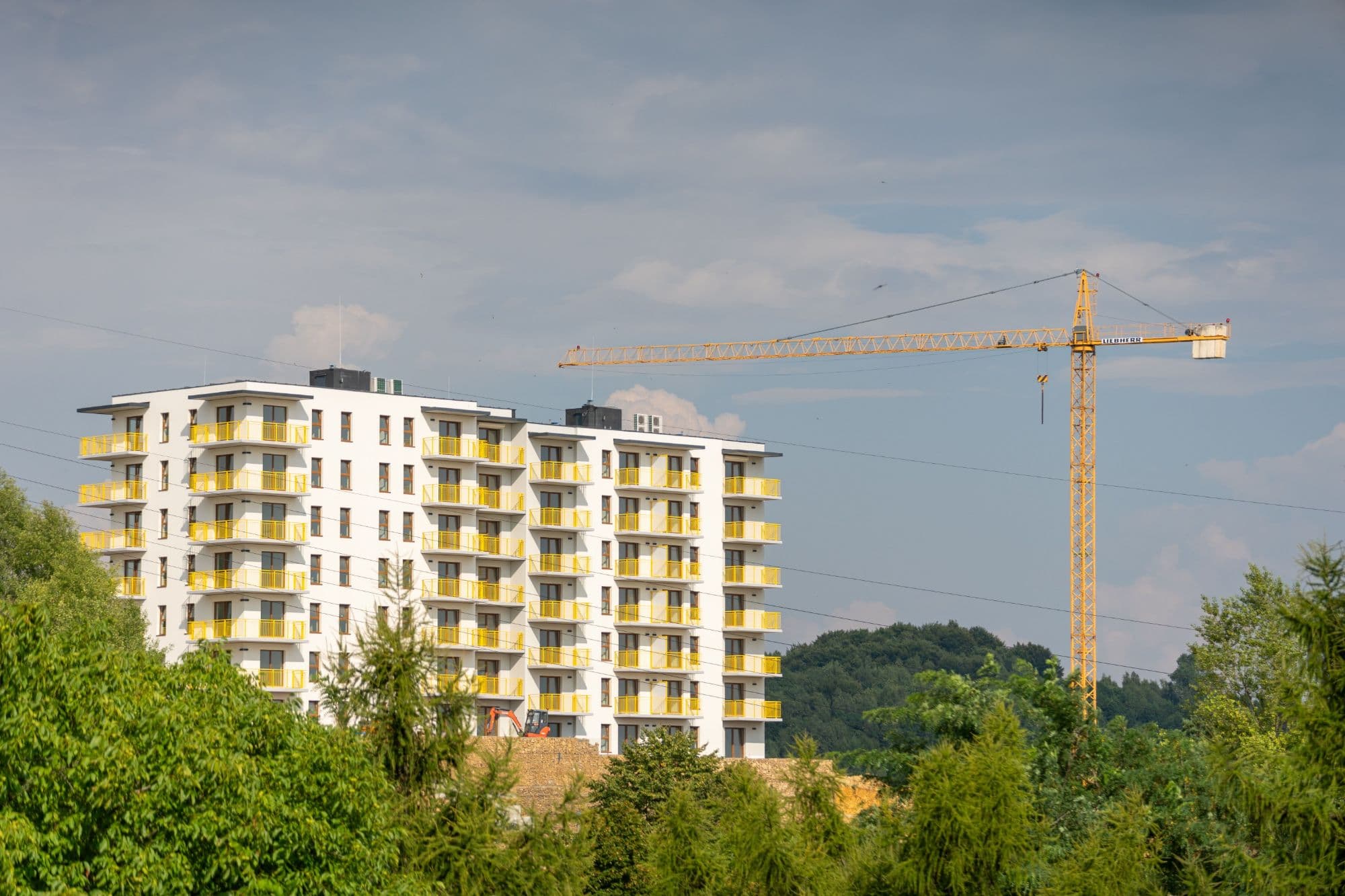 Structure a social loan to finance disaster rebuilding