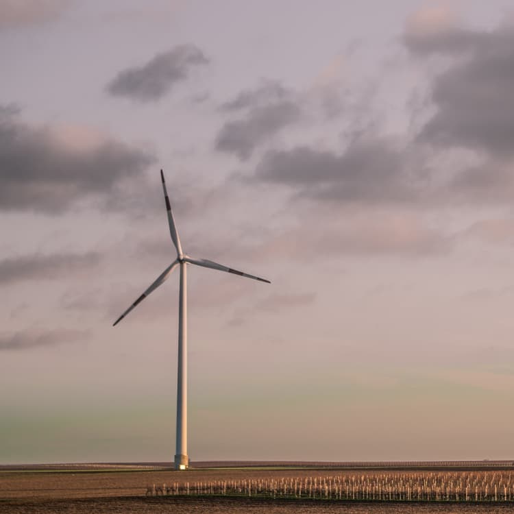 Generate electricity with onshore wind