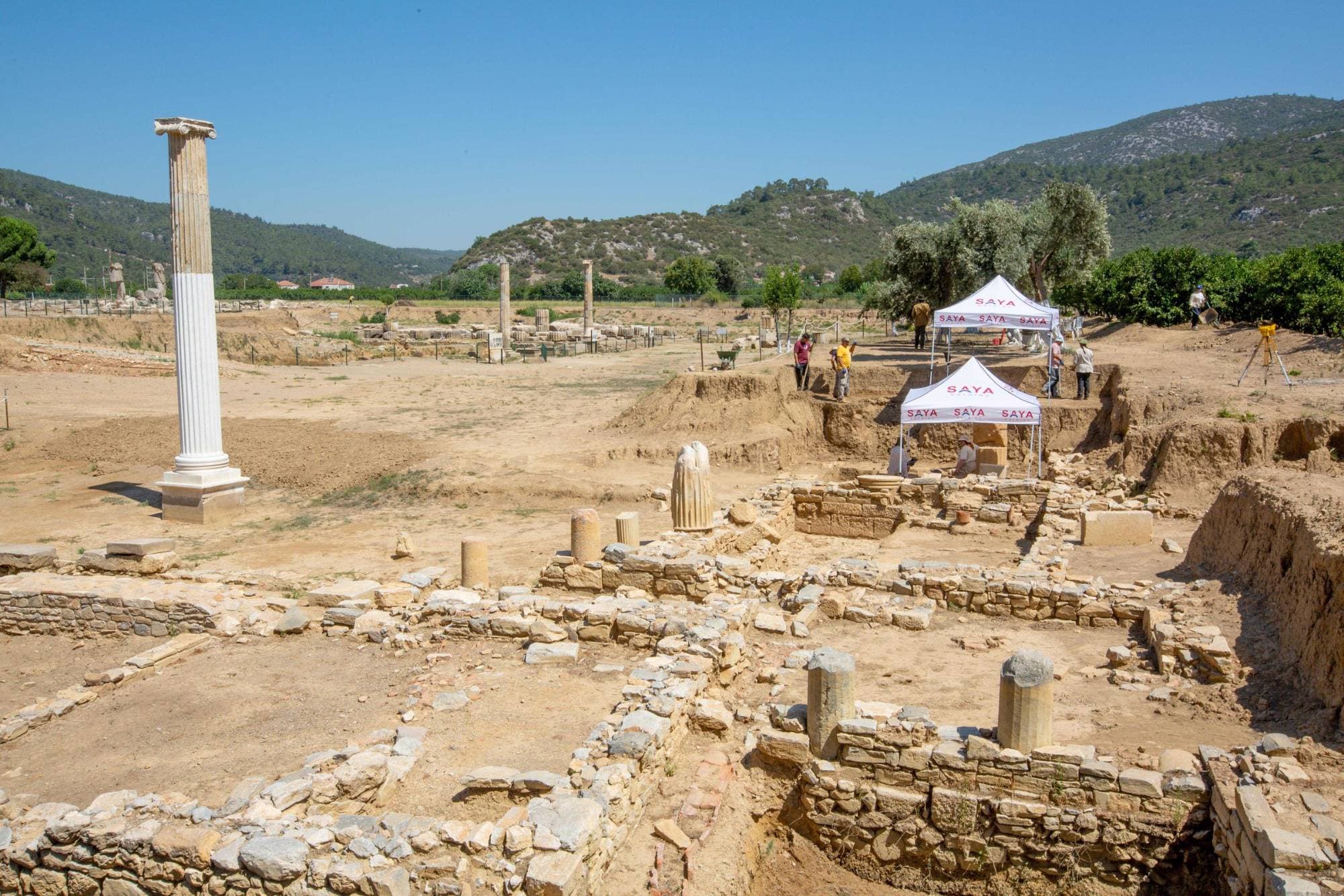 Turn heritage sponsorship into measurable social value
