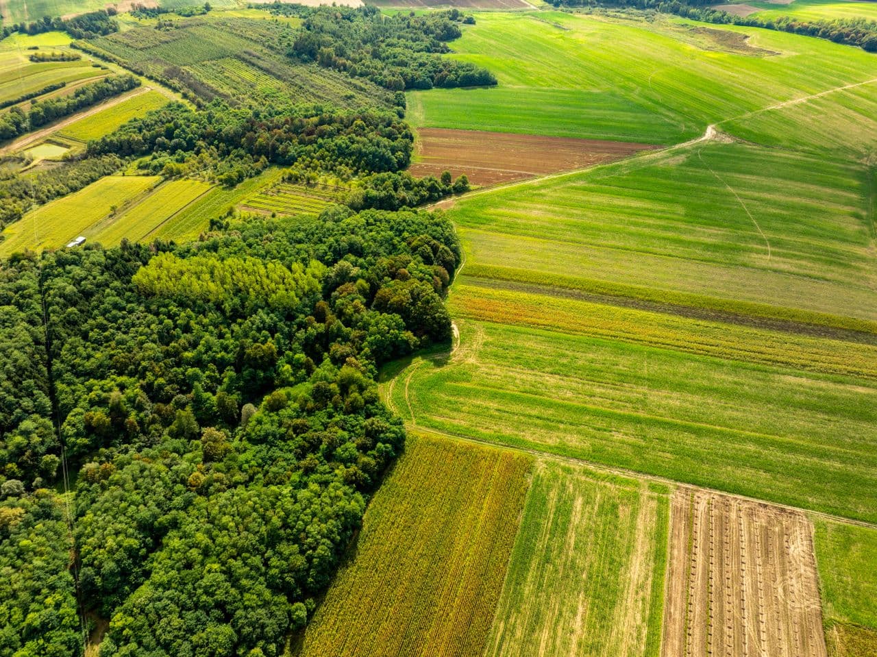 Adopt regenerative practices to rebuild farm soil carbon