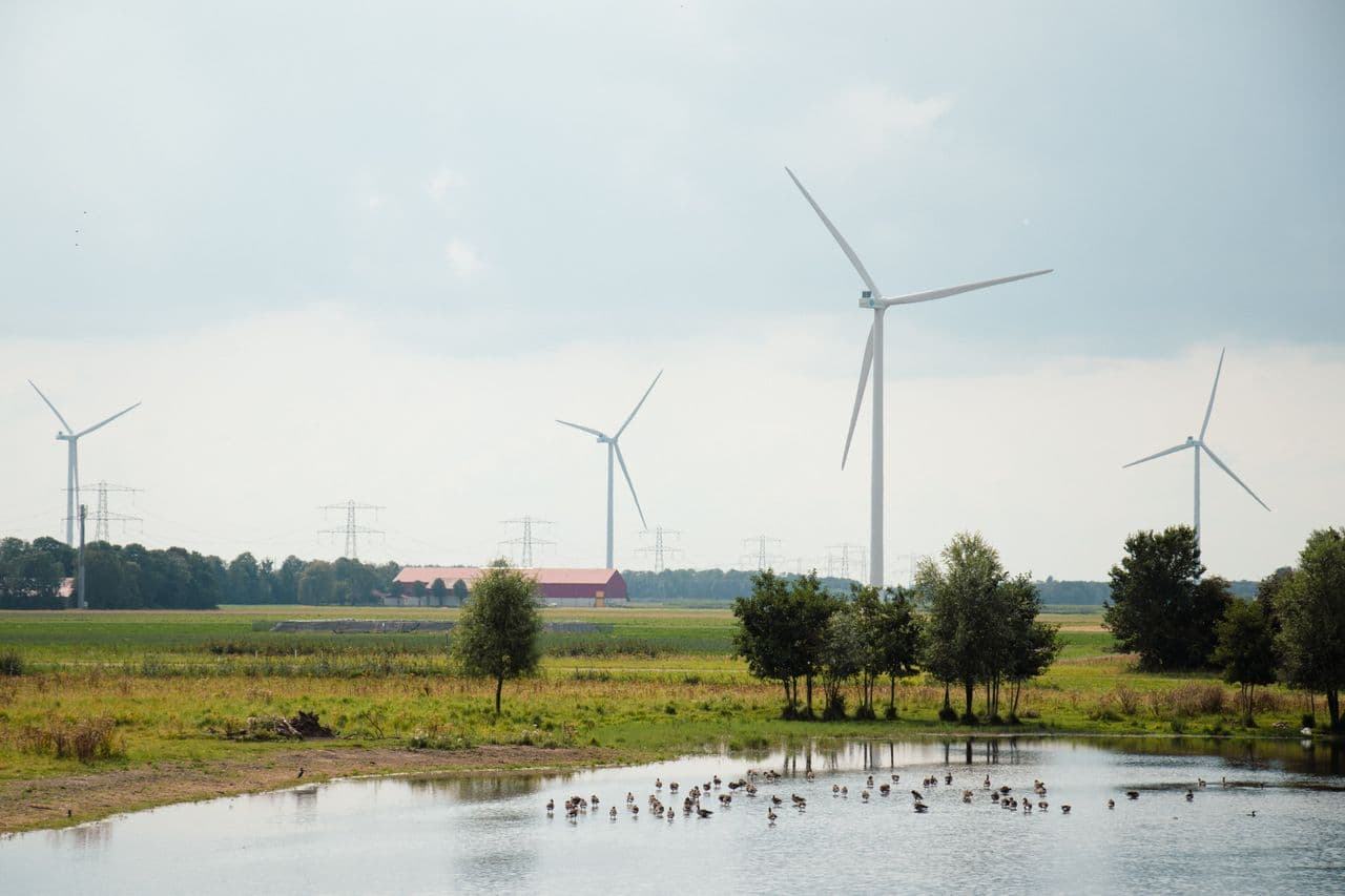 Embed species thresholds into renewable plant operations