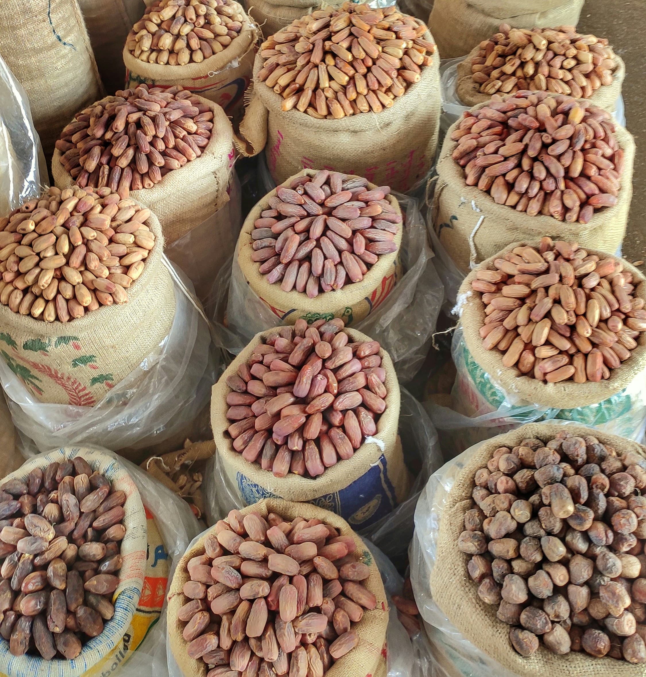 Structure the extractive chain of Amazonian nuts