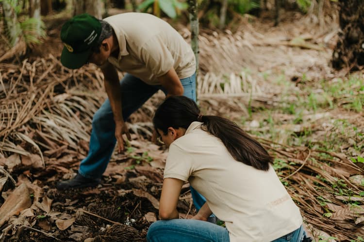 Strengthen sociobiodiversity economies in protected areas