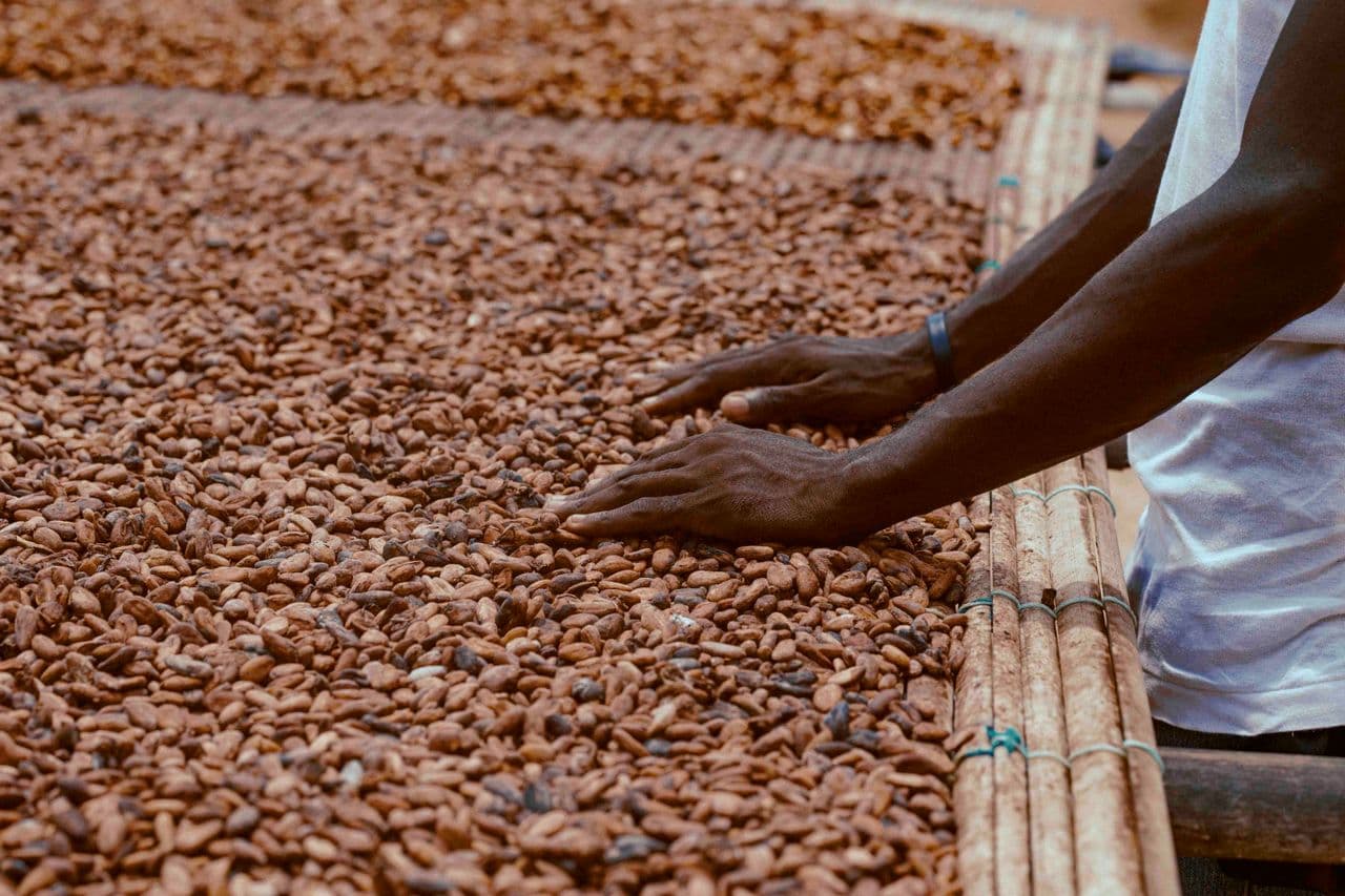 Put farmer and community welfare at the core of sourcing