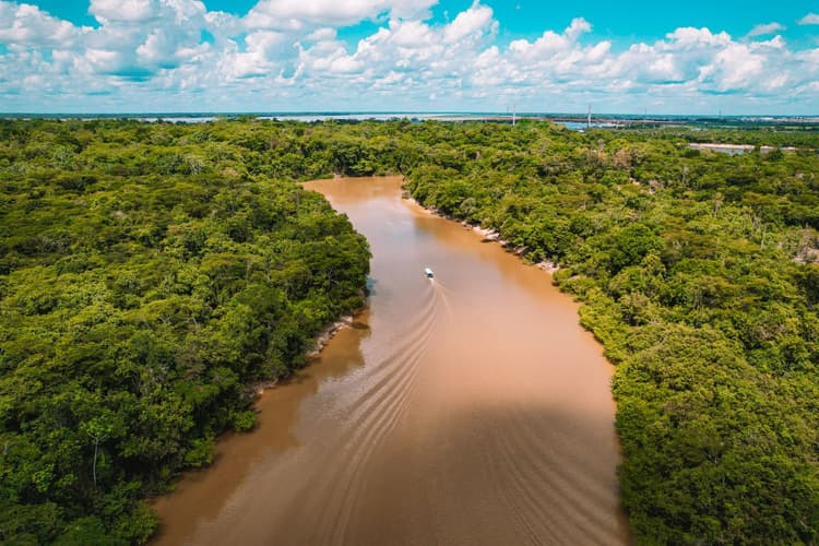 Integrate climate and nature into business strategy