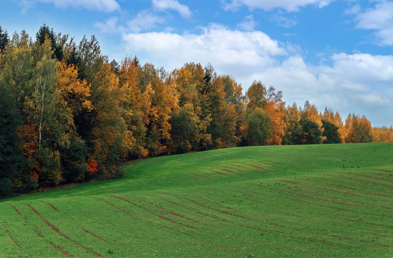 Turn supplier engagement into action for nature