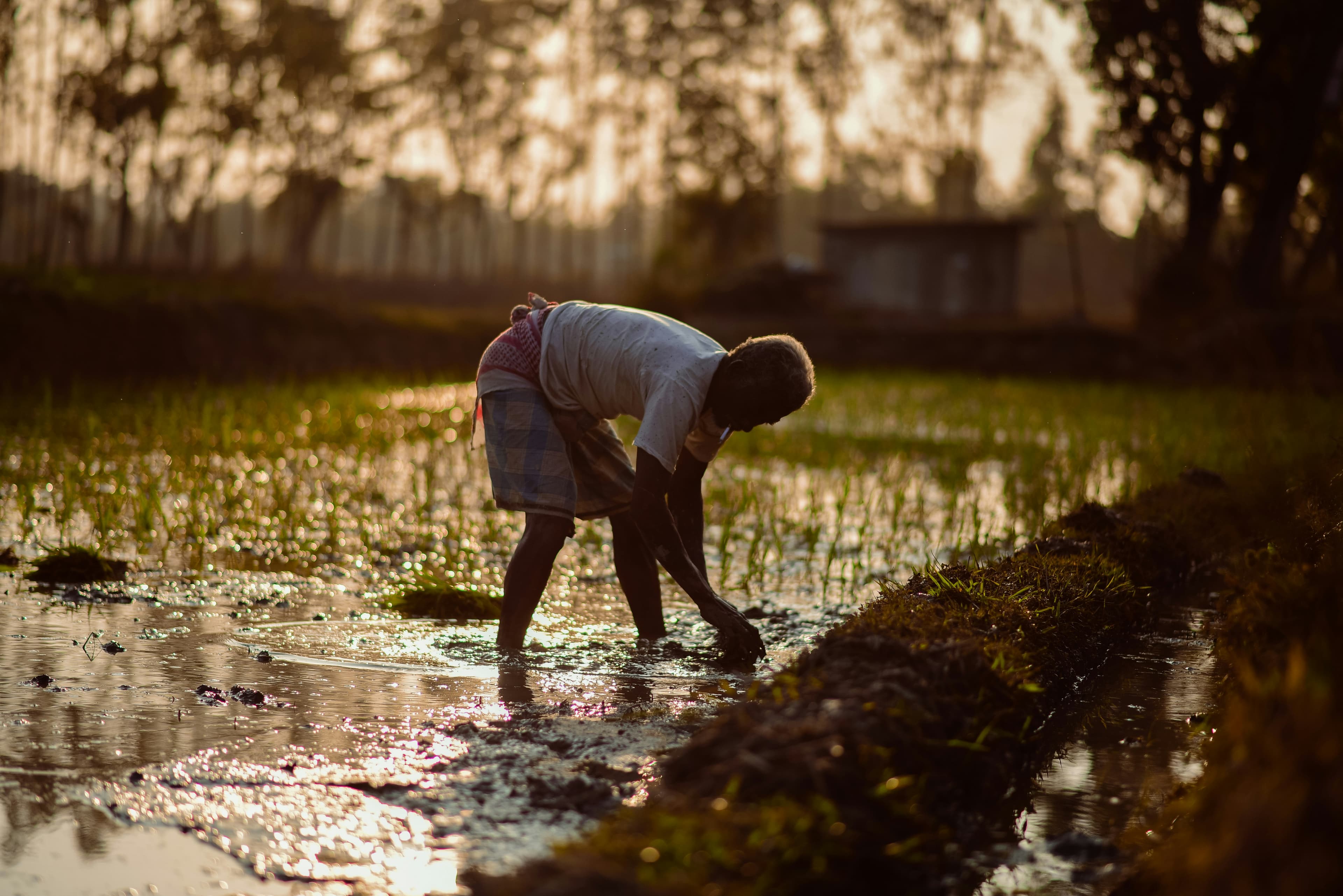 Impact smallholder livelihoods through better farming