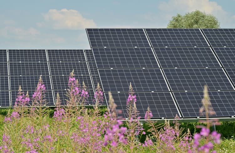 Democratize Clean Energy in Low-Income Communities