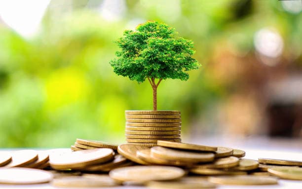 Integrate climate into corporate financials