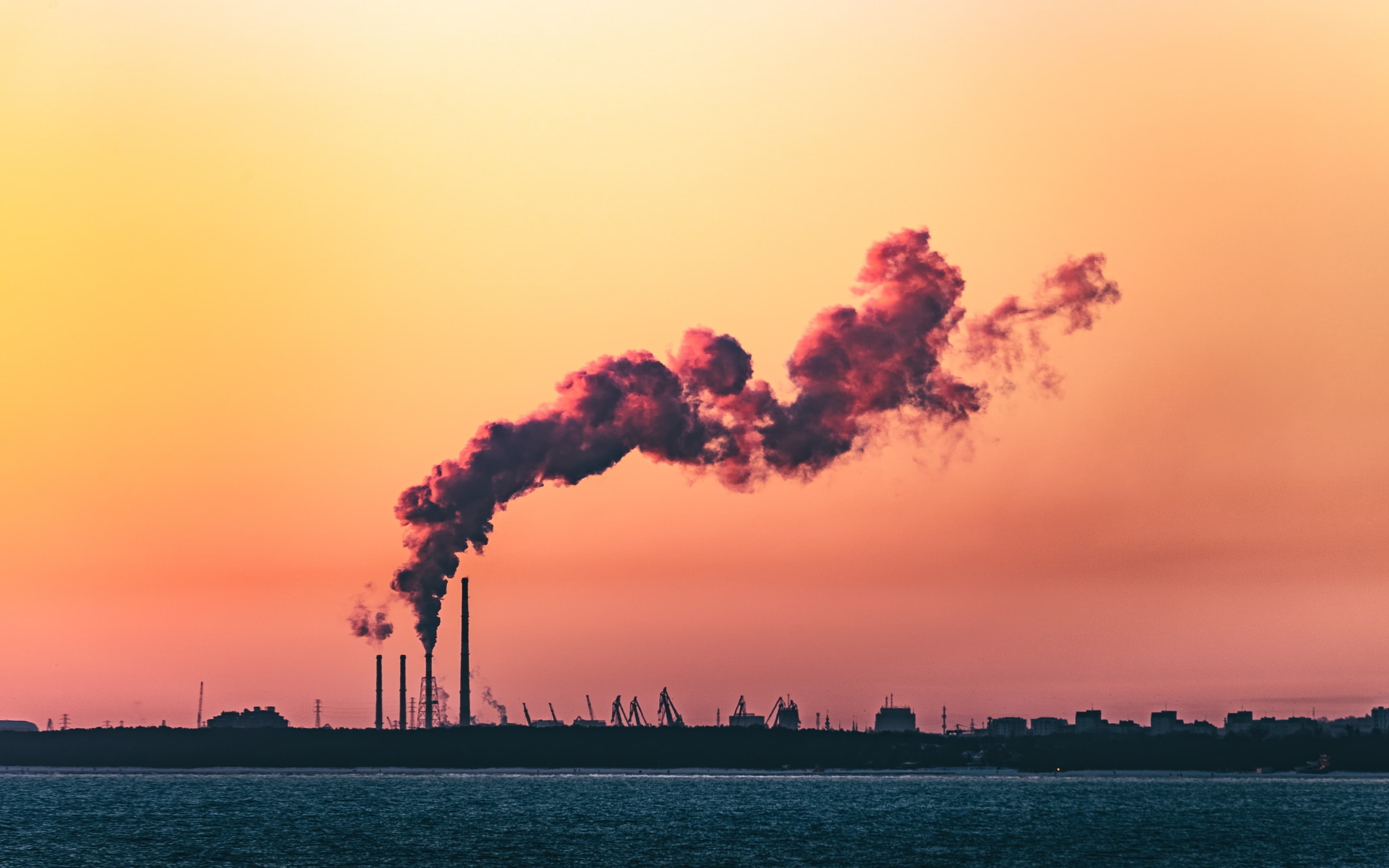 Adopt an internal carbon price to drive decarbonization